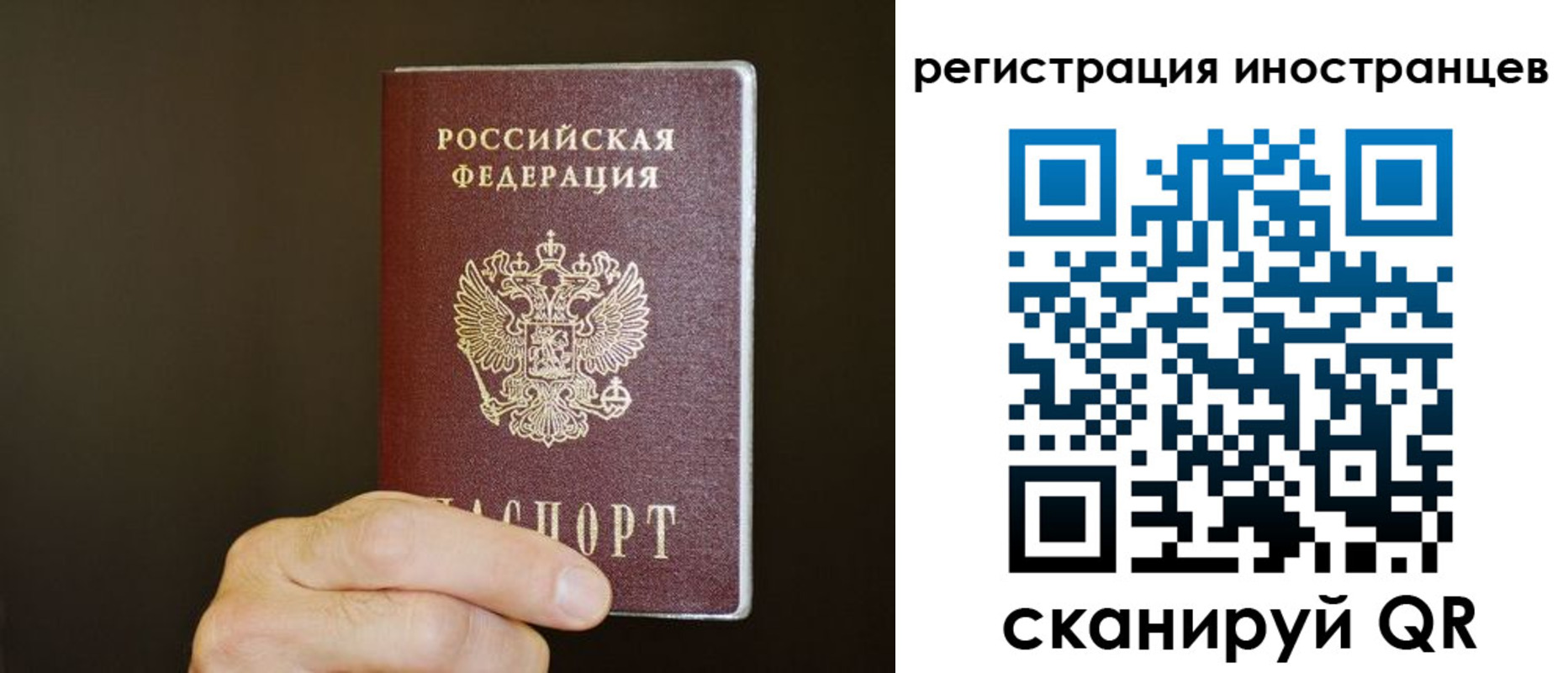 прописка в Пестово